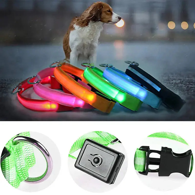 LED Safety Dog Collar - Multiple Color Options, Batteries Included, 3 Flash Modes, Adjustable, Waterproof and Durable for Enhanced Night Visibility and Safe Walks
