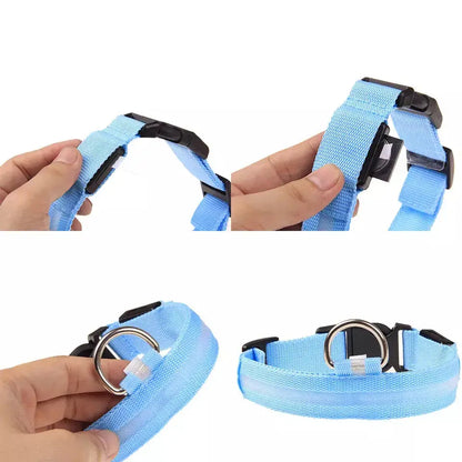LED Safety Dog Collar - Multiple Color Options, Batteries Included, 3 Flash Modes, Adjustable, Waterproof and Durable for Enhanced Night Visibility and Safe Walks