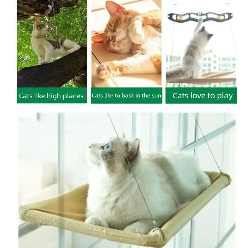 Easy to Assemble Cat Window hammock