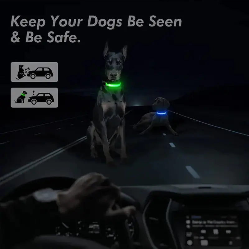 LED Safety Dog Collar - Multiple Color Options, Batteries Included, 3 Flash Modes, Adjustable, Waterproof and Durable for Enhanced Night Visibility and Safe Walks
